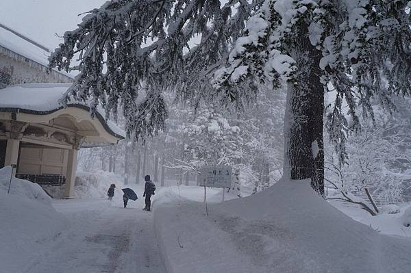 DSC02114.JPG DSC02114.JPG