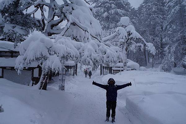 DSC02121.JPG DSC02121.JPG