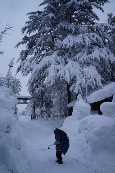 DSC02134.JPG DSC02134.JPG