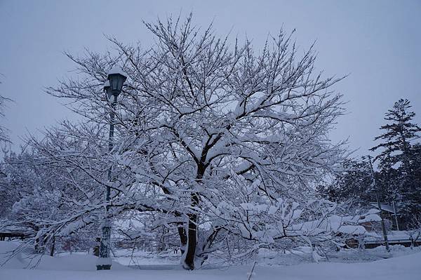 DSC02152.JPG DSC02152.JPG