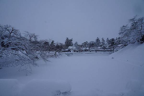 DSC02156.JPG DSC02156.JPG