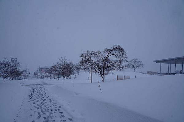 DSC02176.JPG DSC02176.JPG