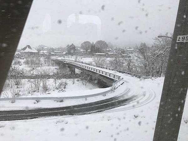 IMG_3513.JPG IMG_3513.JPG