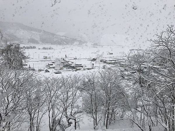 IMG_3531.JPG IMG_3531.JPG