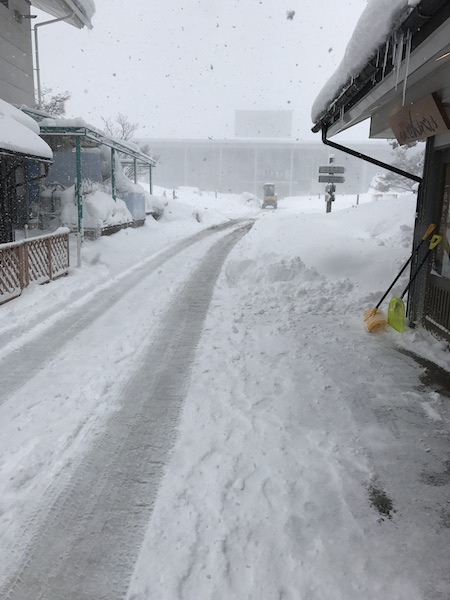 IMG_3551.JPG IMG_3551.JPG