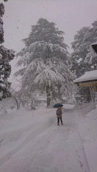 IMG_3600.JPG IMG_3600.JPG