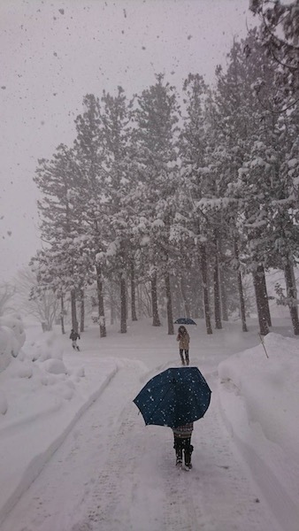 IMG_3603.JPG IMG_3603.JPG