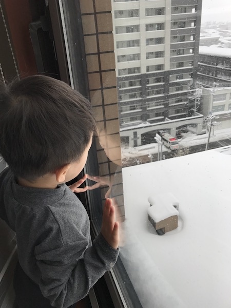 IMG_3641.JPG IMG_3641.JPG