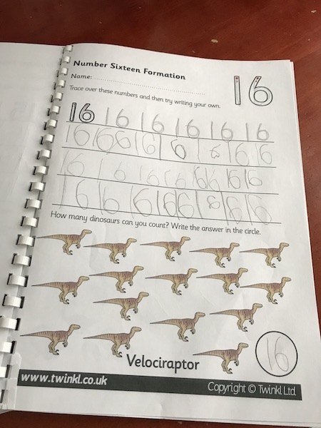 IMG_7105.JPG IMG_7105.JPG