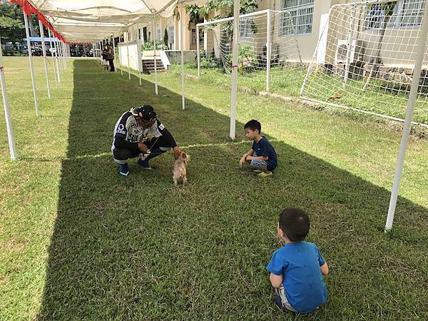 IMG_8393.jpg IMG_8393.jpg