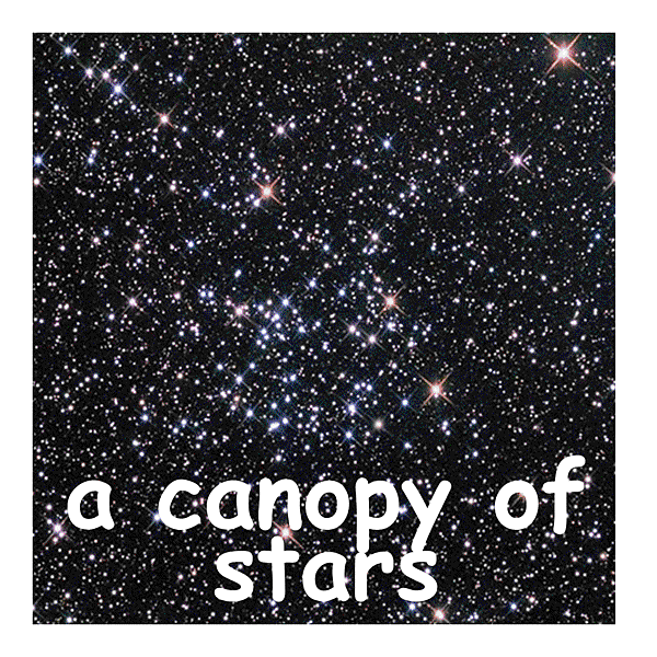 canopy--a canopy of stars.GIF