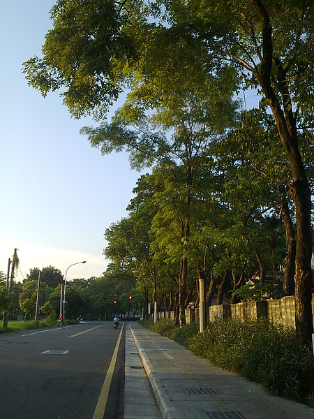 20100705876.jpg 20100705876.jpg