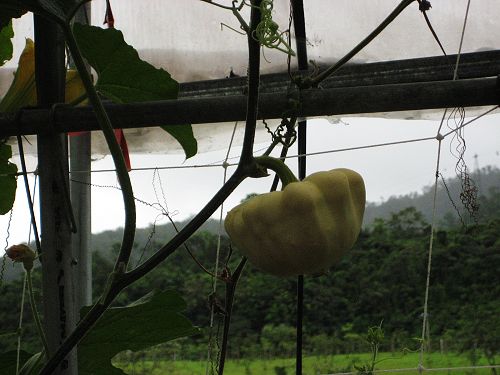 照片 065_nEO_IMG.jpg 照片 065_nEO_IMG.jpg