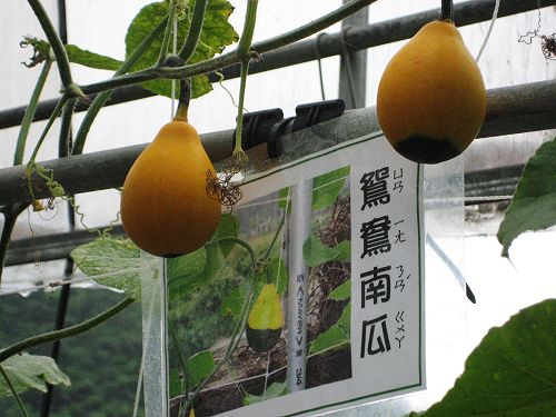 照片 066_nEO_IMG.jpg 照片 066_nEO_IMG.jpg