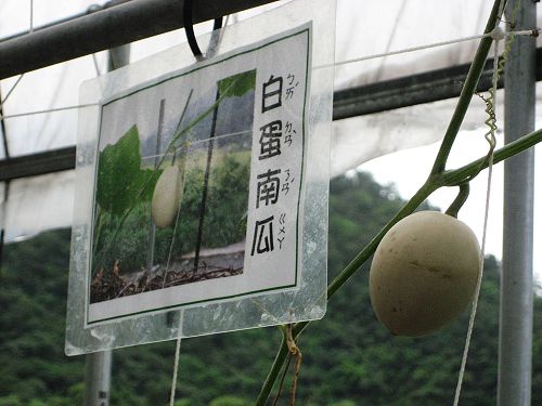 照片 067_nEO_IMG.jpg 照片 067_nEO_IMG.jpg