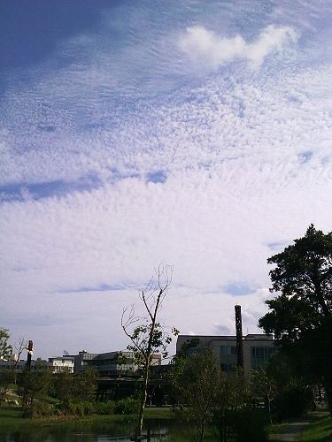 3 010_nEO_IMG.jpg 3 010_nEO_IMG.jpg