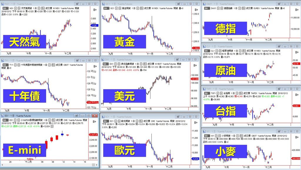 程式交易建立全球投資組合