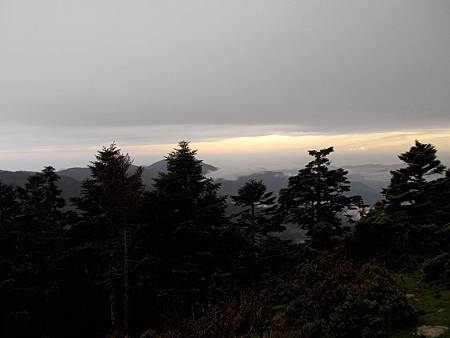 DSCN0338.jpg DSCN0338.jpg