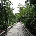 20110704 半田山植物園