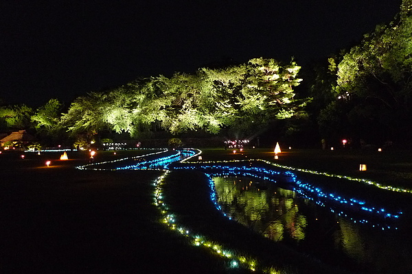 20100803 幻想庭園