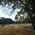 20110329 大阪城公園