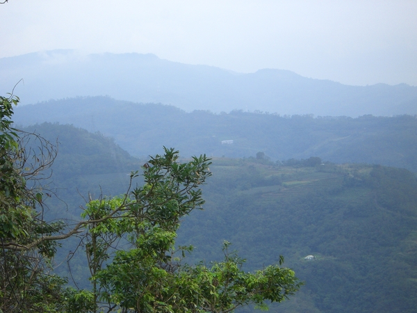 風景固然美