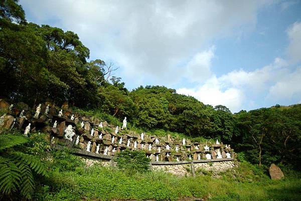 三芝陽光路上的柳觀台