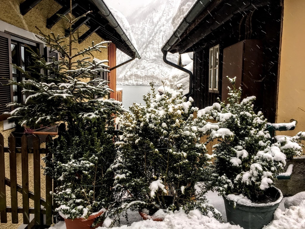 奧地利·哈爾施塔特 Hallstatt | 走進冰天雪地的童