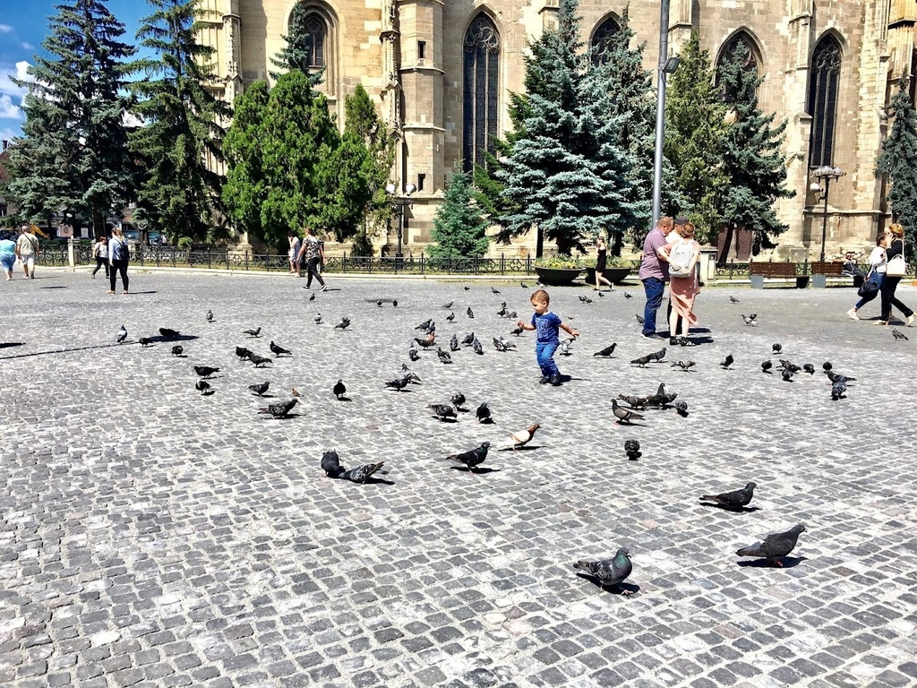 羅馬尼亞·克盧日-納波卡 Cluj-Napoca | 走進新