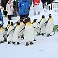 Asahikawa_A_Zoo_0004.jpg