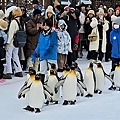 Asahikawa_A_Zoo_0003.jpg