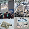 Asahikawa_A_Zoo_0011.jpg