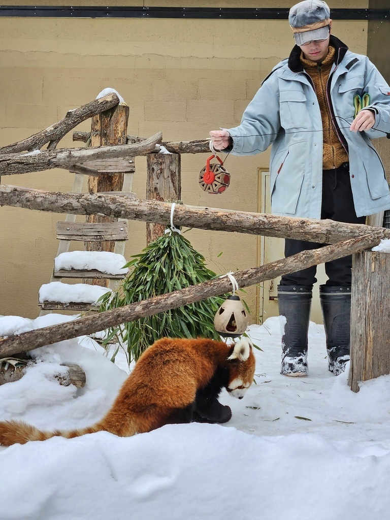 北海道之旅 (D4)｜旭川｜旭山動物園