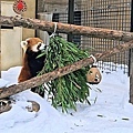 Asahikawa_A_Zoo_0016.jpg