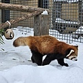 Asahikawa_A_Zoo_0014.jpg