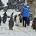 Asahikawa_A_Zoo_0062.jpg