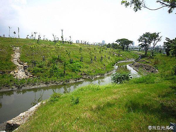 中都濕地09.jpg 中都濕地09.jpg