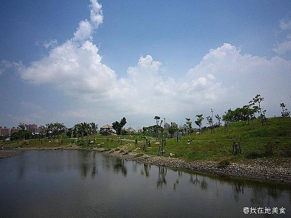 中都濕地14.jpg 中都濕地14.jpg