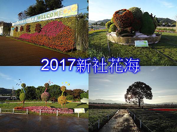 2017新社花海