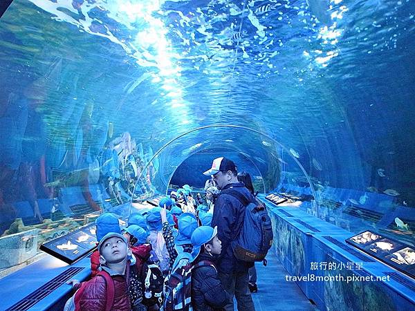 東京 水族館 東京都の動物園・水族館 ベスト10