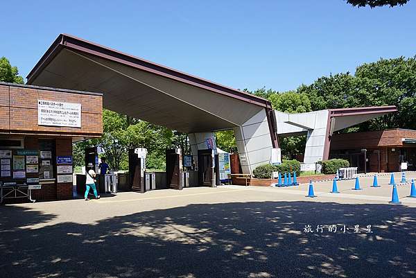 東京及關西親子遊 尋訪夏季向日葵 東京及關西向日葵名所 旅行的小