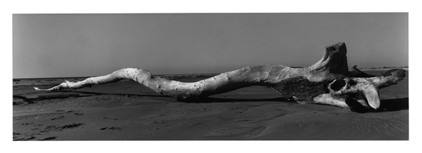 Josef_Koudelka_Camargue_Bouches-du-Rhone_-_Josef_Koudelka-Magnum_PhotosConservatoire_du_littoral-Tour_du_Valat_basse.jpg