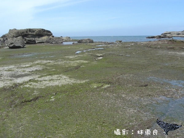 2-3-2石梯坪.jpg 2-3-2石梯坪.jpg