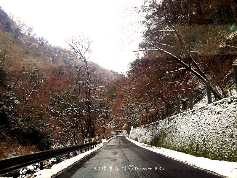 【日本。九州自駕】※景點※ 大分 九重夢大吊橋 ~ 看盡日本