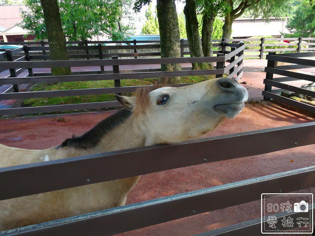 44九州自然動物園 (33)_MFW.jpg