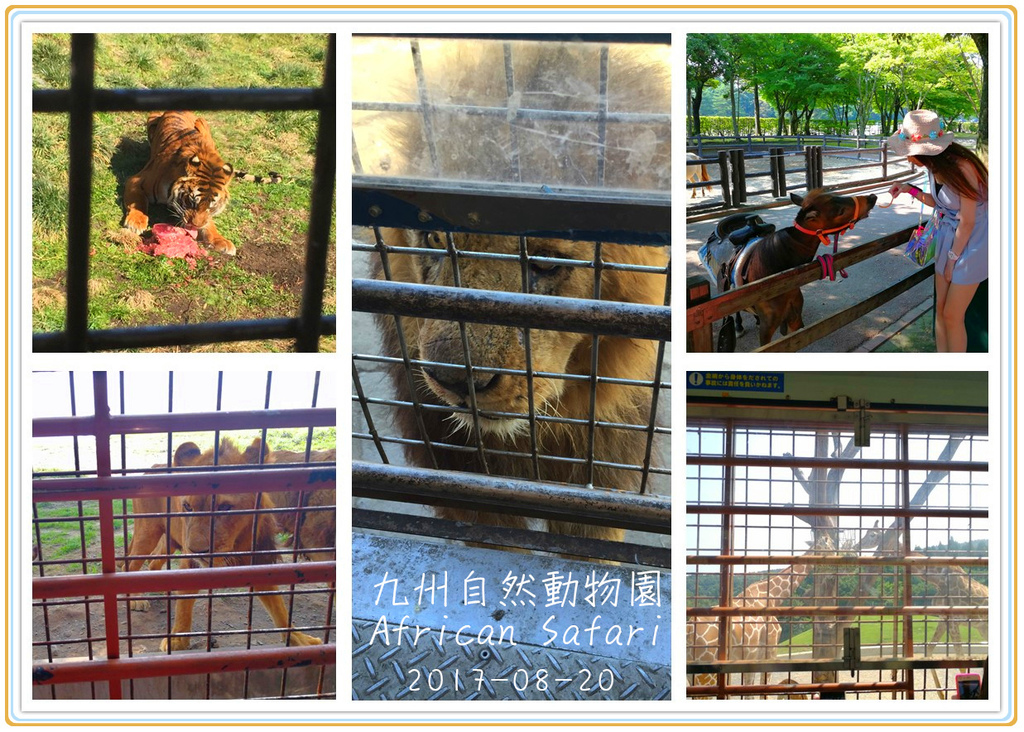 九州自然動物園.jpg