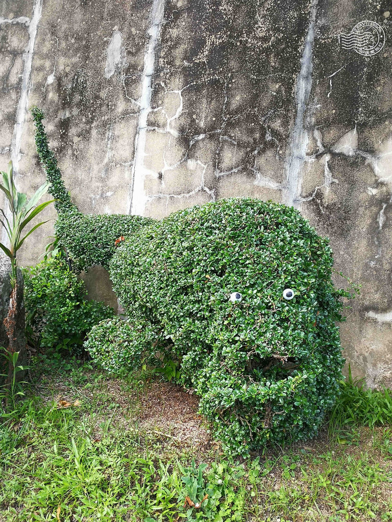 IMG_20180721_170451_MFW.jpg IMG_20180721_170451_MFW.jpg