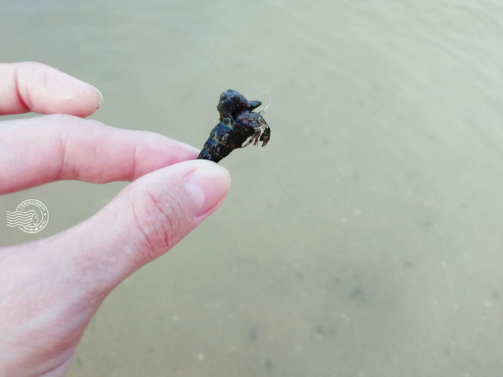 梅窩 (293)_MFW.jpg 梅窩 (293)_MFW.jpg