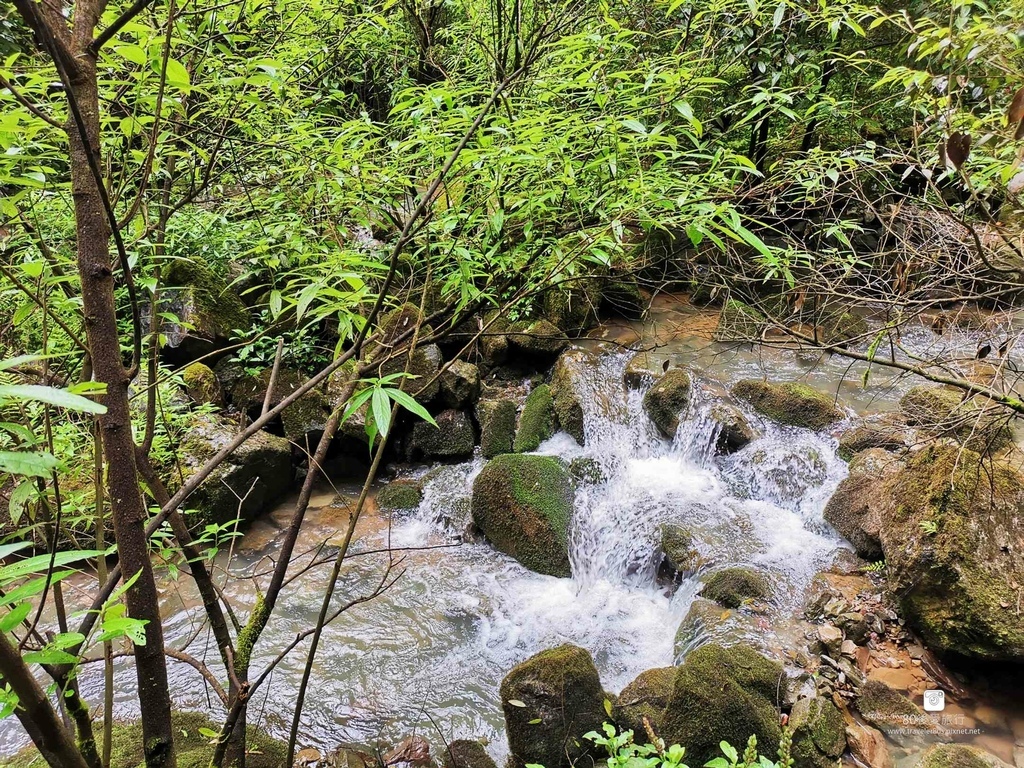 天生三橋 (38).jpg