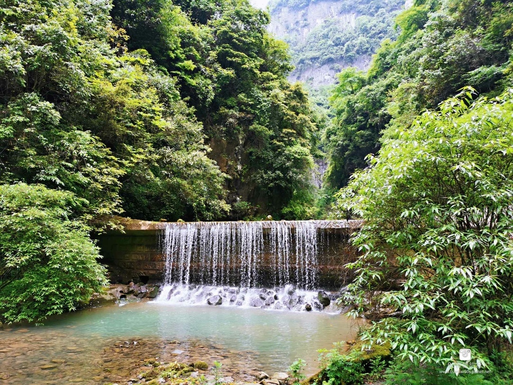 天生三橋 (51).jpg